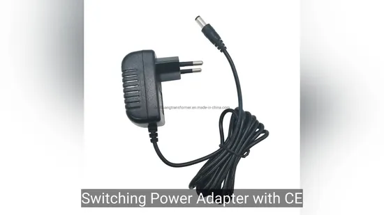 Deeltr OEM 5V 6V 12V 24V 500mA 1000mA 0.5A 1A 2A Switching Power Adapter AC DC Power Adapter 